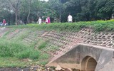 Hà Nội: Ô nhiễm khủng khiếp ở công viên hồ Đền Lừ
