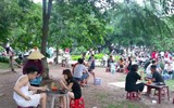 Hà Nội: Ô nhiễm khủng khiếp ở công viên hồ Đền Lừ