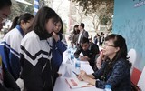 Giới trẻ quan tâm tìm kiếm định hướng nghề nghiệp đến mức độ nào?