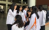 Chi tiết tỷ lệ 