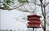 [Ảnh] Người cách ly thoải mái với tiện nghi ký túc xá đẹp nhất Hà Nội