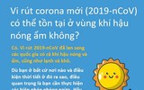 Uống rượu bia, ăn tỏi có thể giúp phòng virus corona hay không?