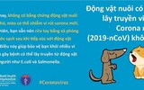 Uống rượu bia, ăn tỏi có thể giúp phòng virus corona hay không?