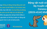 Uống rượu bia, ăn tỏi có thể giúp phòng virus corona hay không?