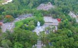 Cây bồ đề linh thiêng ở Nghĩa trang Trường Sơn