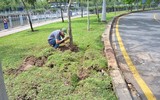 Hình ảnh 2 hố ga nổ bung xới mặt đất trên đường Trường Sa