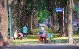 Quà thu Hà Nội