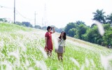 Đồng cỏ tranh trắng lãng mạn giữa Thủ đô