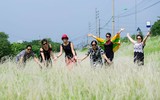 Đồng cỏ tranh trắng lãng mạn giữa Thủ đô