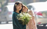 Cúc họa mi xuống phố