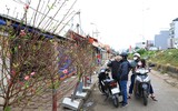 Đào Nhật Tân xuống phố 