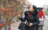 Đào Nhật Tân xuống phố 