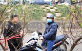 Đào Nhật Tân xuống phố 