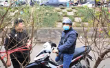 Đào Nhật Tân xuống phố 