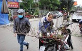 Đào Nhật Tân xuống phố 