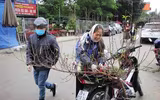 Đào Nhật Tân xuống phố 