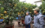 Đào Nhật Tân xuống phố 