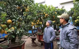 Đào Nhật Tân xuống phố 