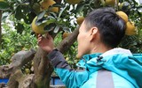 Đào Nhật Tân xuống phố 