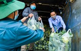 Hà Nội: Chung tay “giải cứu” nông sản cho người dân vùng dịch