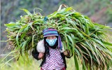 Khoảnh khắc ghi ở Hà Giang chung sống an toàn với dịch Covid-19
