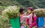 Khoảnh khắc ghi ở Hà Giang chung sống an toàn với dịch Covid-19