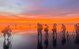 Khuôn hình biển lúc rạng đông 