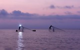 Khuôn hình biển lúc rạng đông 