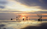 Khuôn hình biển lúc rạng đông 