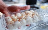 Tết Hàn thực của người Hà Nội 