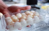 Tết Hàn thực của người Hà Nội 