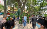 Xử lý nghiêm việc không tuân thủ phòng dịch Covid-19