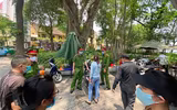 Xử lý nghiêm việc không tuân thủ phòng dịch Covid-19