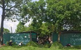 Hương cốm tháng 10 
