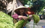 Hương cốm tháng 10 