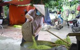 Hương cốm tháng 10 