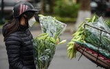 Khúc giao mùa trên phố 