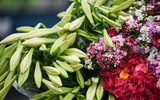 Khúc giao mùa trên phố 