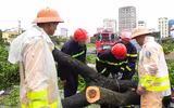 Lực lượng Công an toàn lực hỗ trợ người dân khắc phục hậu quả của bão Noru