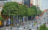 Mùa thu Hà Nội, mùa hoa sữa về 