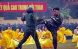 Ấn tượng hình ảnh dân quân tự vệ Thủ đô