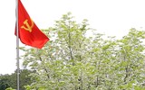 Hà Nội đẹp dịu dàng mùa hoa sưa