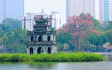 Tháng ba hoa gạo nở rồi 