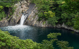 Khám phá đảo Yakushima, dấu tích còn lại của một khu rừng cổ ôn đới