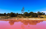 Bí ẩn hồ nước màu hồng độc đáo ở Australia
