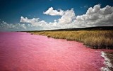 Bí ẩn hồ nước màu hồng độc đáo ở Australia