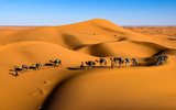 Khám phá những bí ẩn về sa mạc Sahara