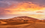 Khám phá những bí ẩn về sa mạc Sahara