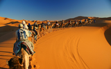 Khám phá những bí ẩn về sa mạc Sahara