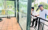 Cây xanh, vườn thú Hà Nội ra sao sau khi bão Yagi quét qua?